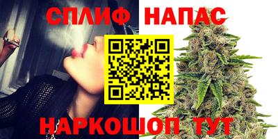 дживик Донской