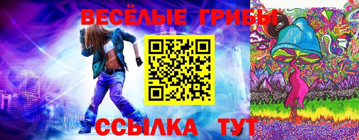 Псилоцибиновые грибы MAGIC MUSHROOMS  Вход с VPN  Каменск-Шахтинский 